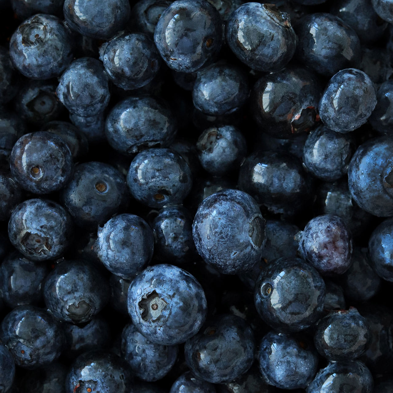 Blueberries