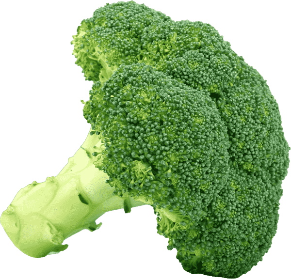 Broccoli