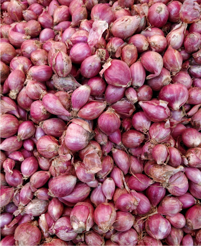 Shallots